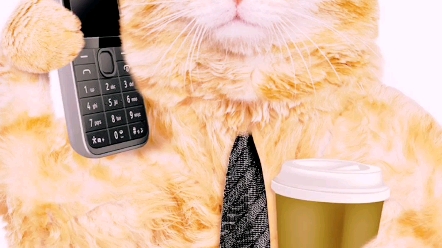 小猫咪跳电话机(小猫乱跳jojo)
