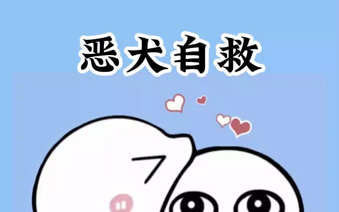 路遇恶犬,该如何自救?哔哩哔哩bilibili