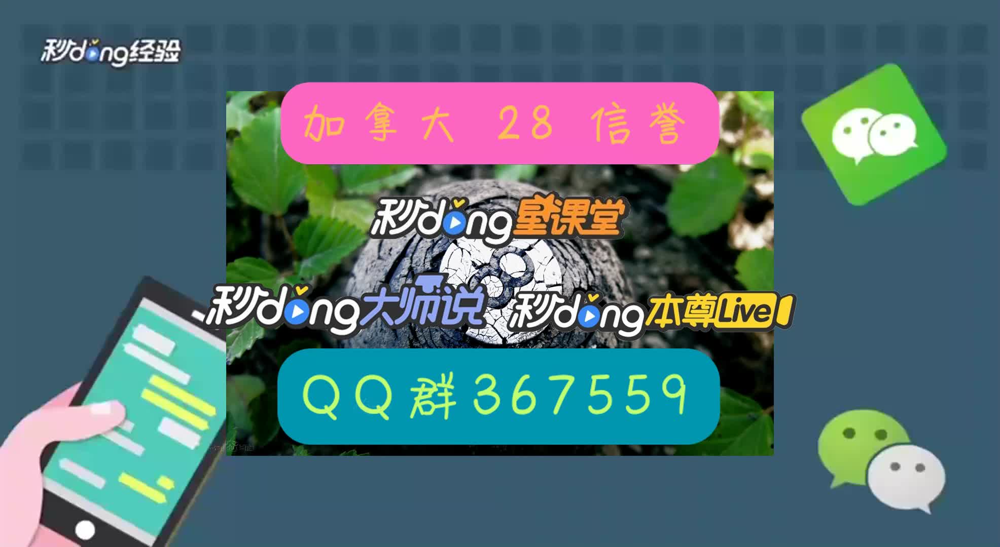 9分钟了解加拿大pc在哪玩