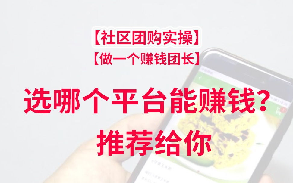 社区生鲜团购10大一线平台盘点,选哪个平台能赚钱?推荐给你哔哩哔哩bilibili