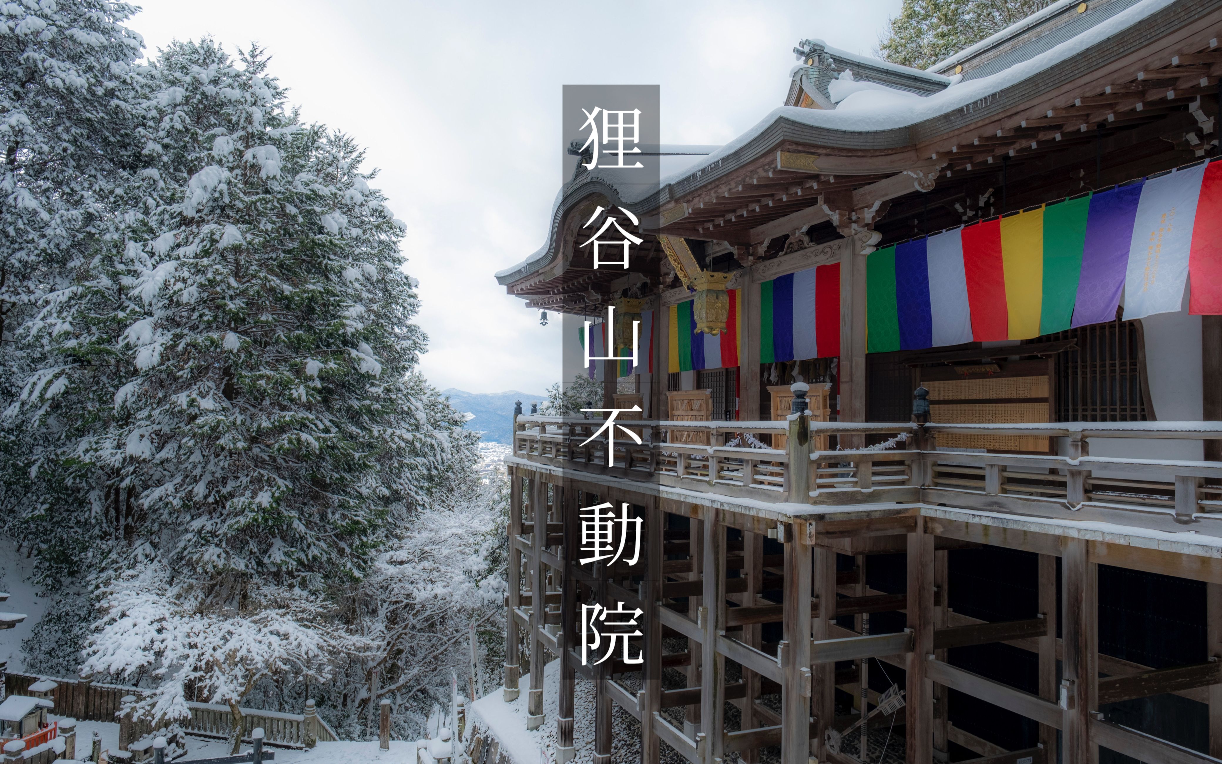 【京都狸谷山不动院:一场难得的雪景之旅】雪景下的文化遗产|京都雪景中的古刹|找寻岛国日本不一样的风景,古寺,神社,鸟居,集落......哔哩哔哩bilibili