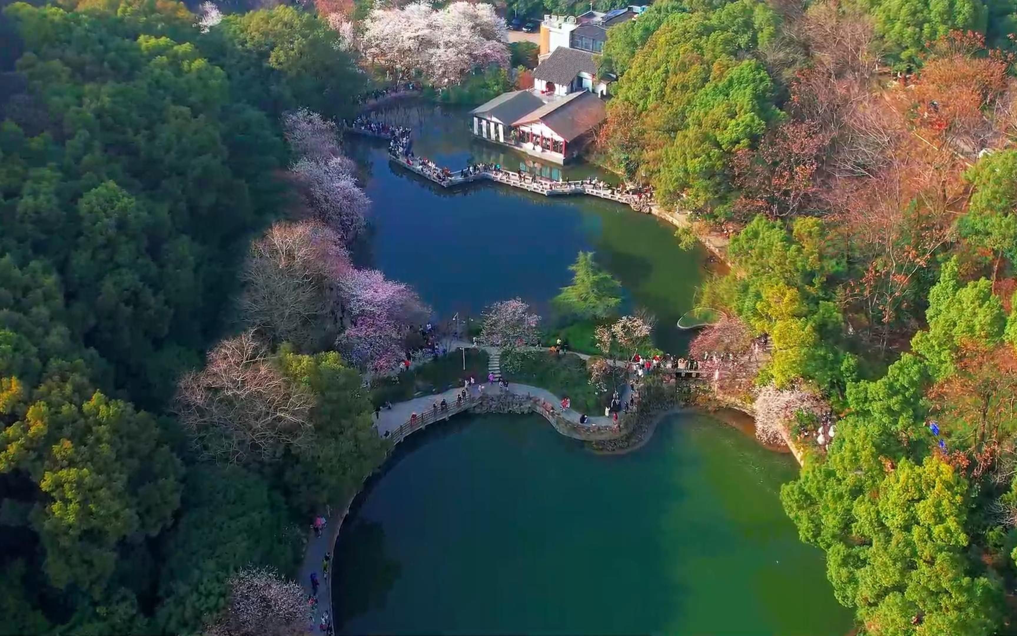 长沙看花的景点推荐图片