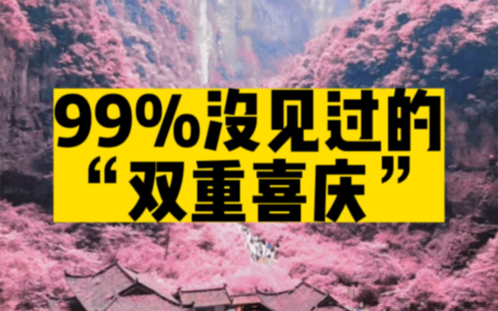 不一样的“双重喜庆”,看看你知道几个?赶紧收藏转发让他带你去!哔哩哔哩bilibili