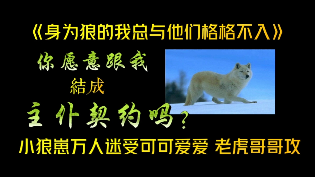 【np推文】你愿意跟我结成主仆契约吗?哔哩哔哩bilibili