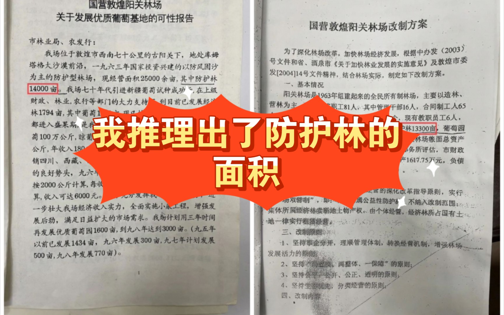 阳关林场防护林重重迷雾!我好像推理出了防护林到底有多少亩?哔哩哔哩bilibili