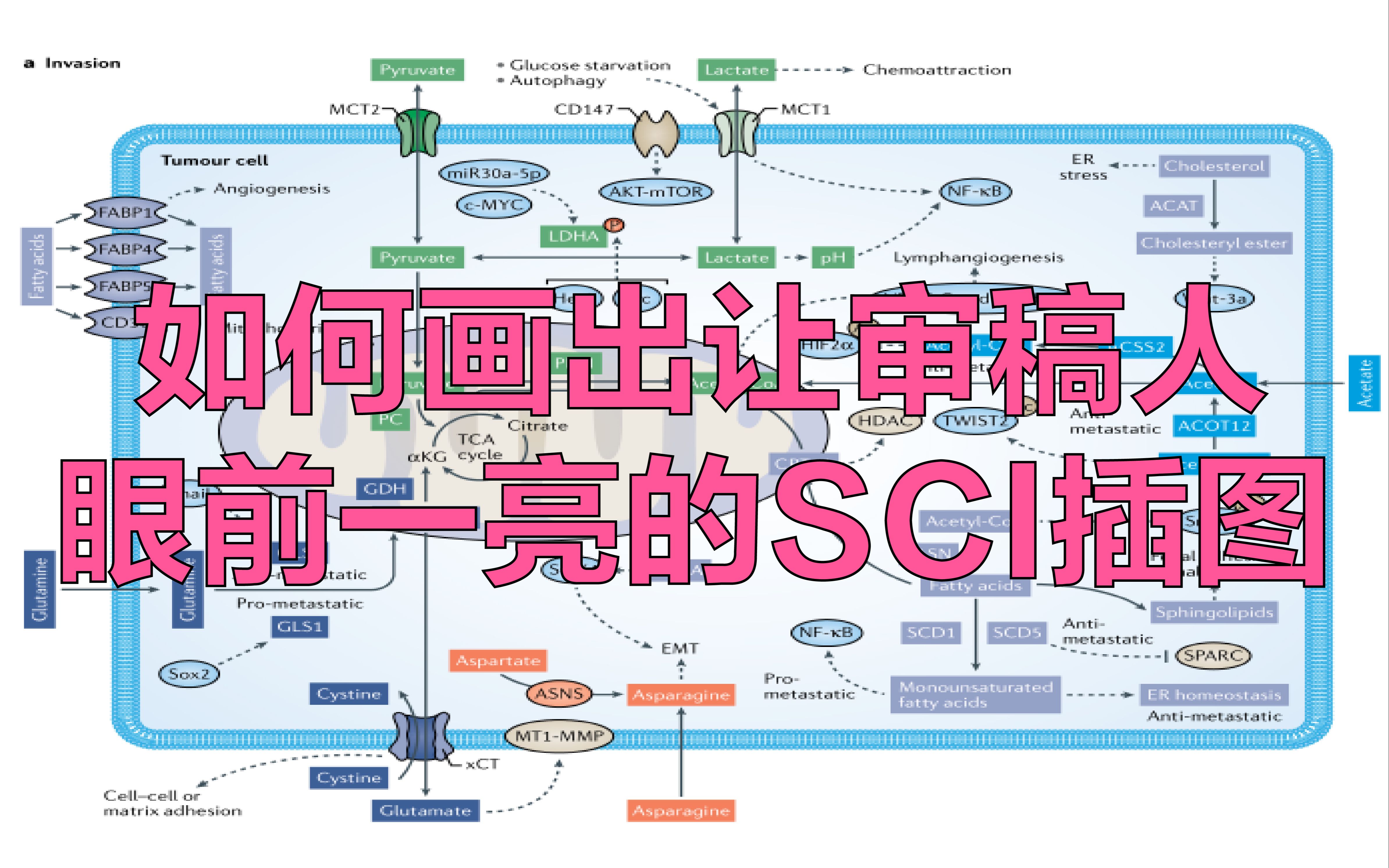 【创意科研绘图】如何画出让审稿人眼前一亮的论文插图哔哩哔哩bilibili