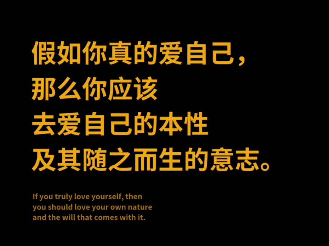 《沉思录》最厉害的就是随便打开一句话,你都会有启发.哔哩哔哩bilibili