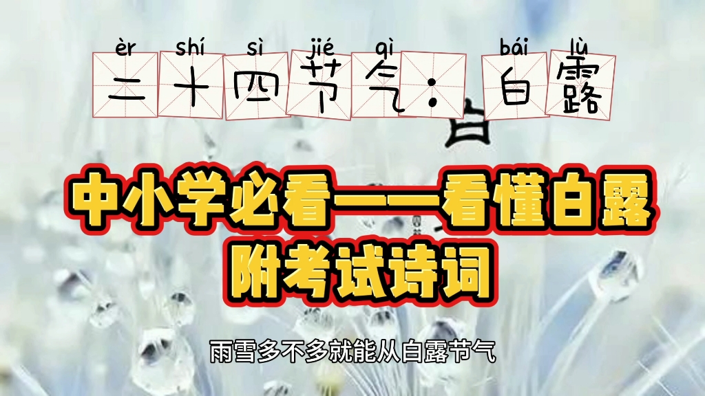 让学习回归生活,今日白露,中小学必看,每天进步一点点.哔哩哔哩bilibili