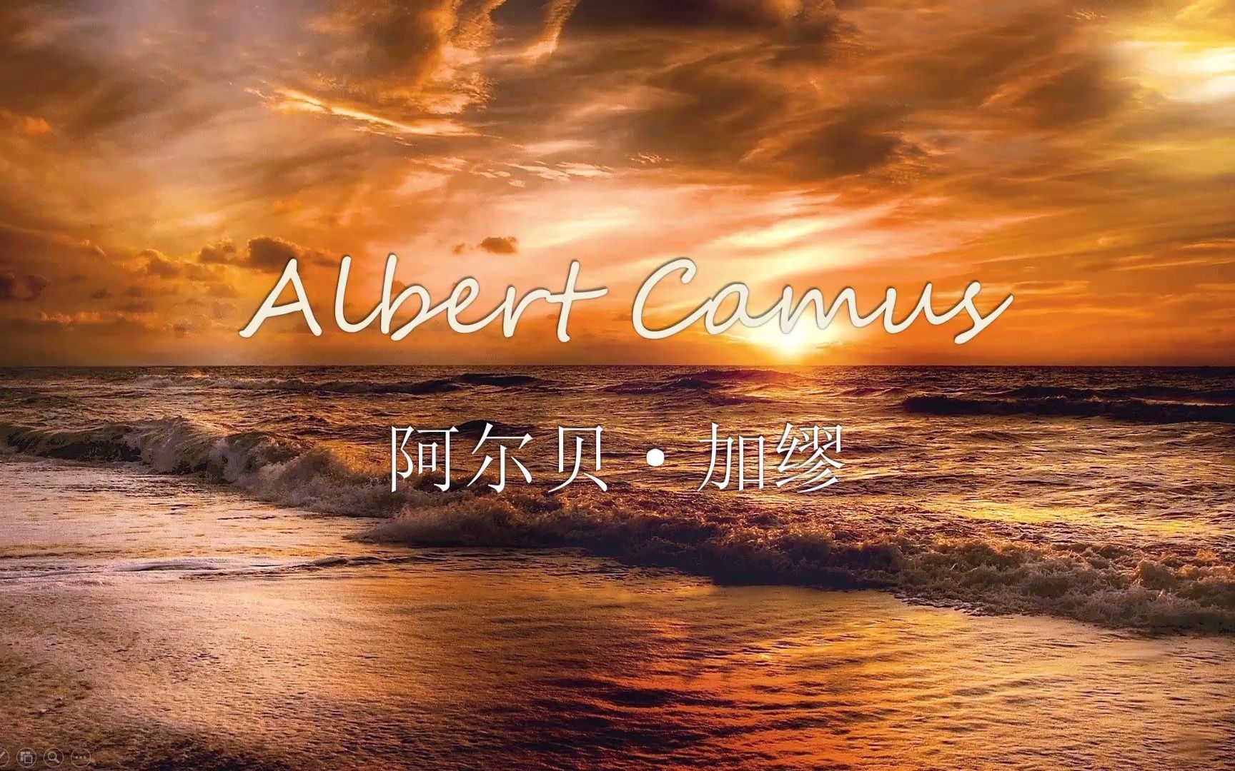 [阿尔贝·加缪]在隆冬,我终于知道,我身上有一个不可战胜的夏天.