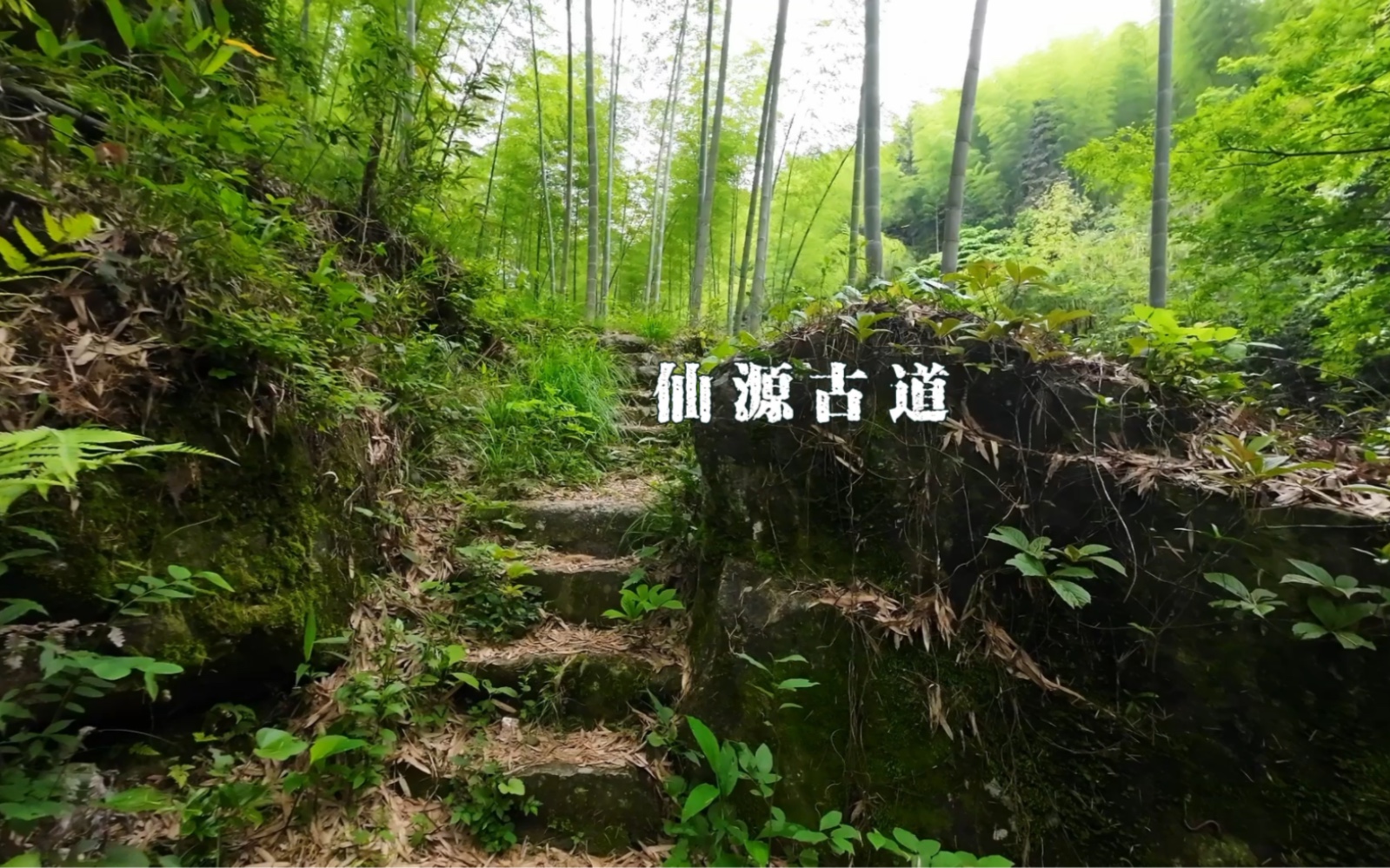 [图]仙源古道登黄山原生山水辅岭乡村文旅