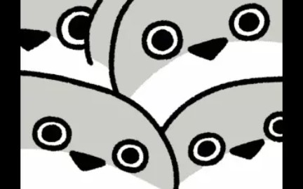 重装上阵:萨卡半甲鱼旋转一分钟