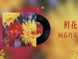 Tải video: 【日推歌单】《鲜花》——回春丹乐队