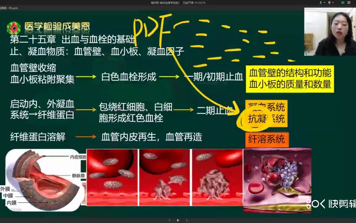 [图]凝血系统/抗凝系统——医学检验讲师（成美恩）