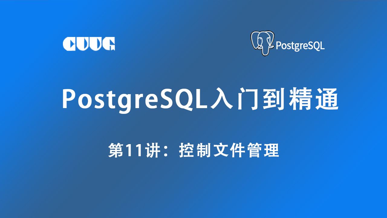 第11讲PostgreSQL 控制文件管理(postgresql从入门到精通教程)哔哩哔哩bilibili