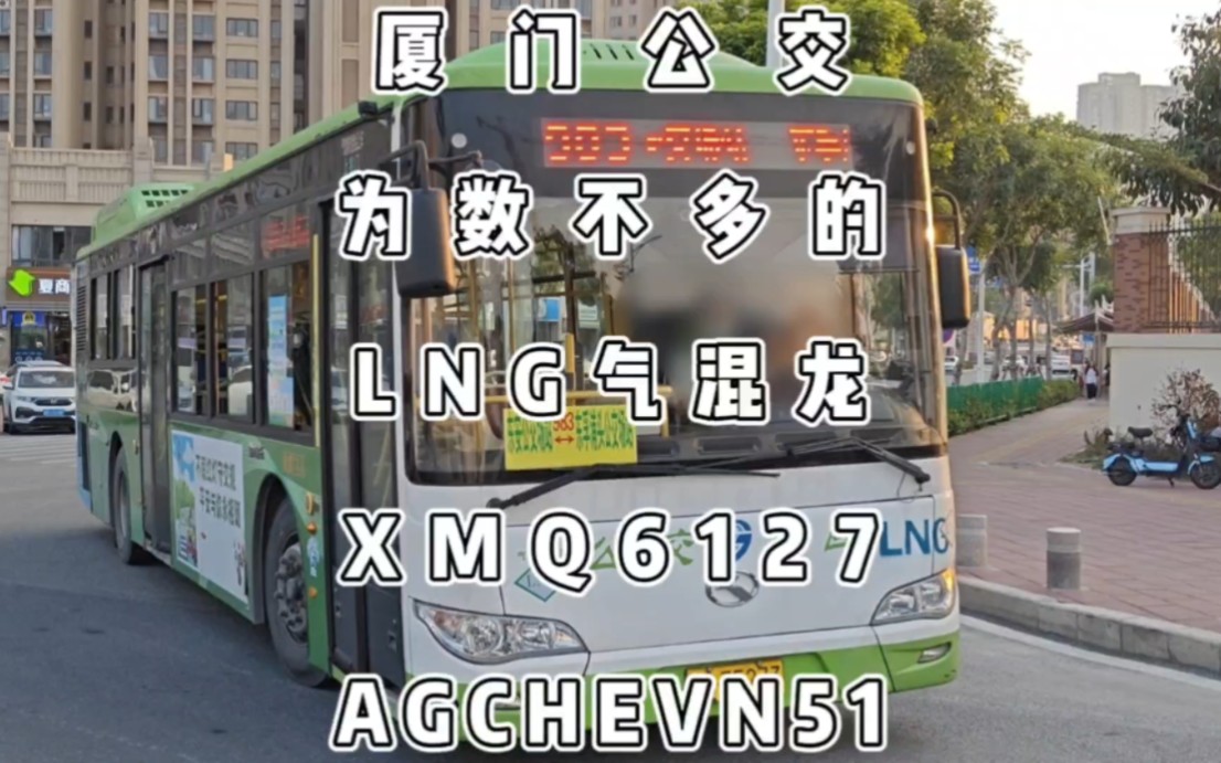 厦门公交,为数不多的lng气混龙xmq6127agchevn51