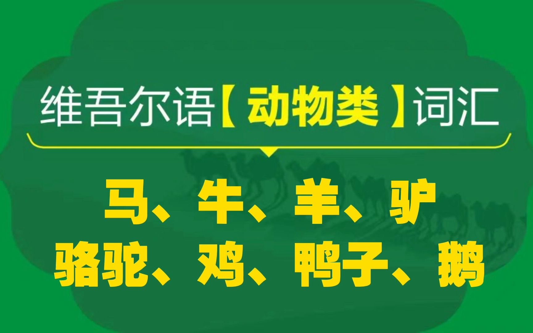 维吾尔语:马、牛、羊、驴、骆驼、鸡、鸭子、鹅的发音与拼读哔哩哔哩bilibili