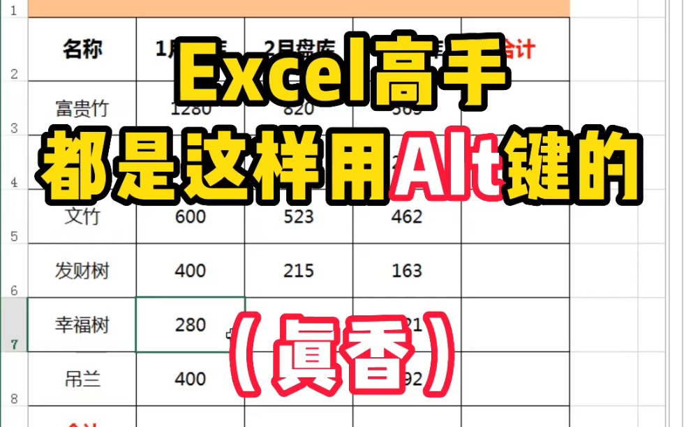 Excel高手都是这样用Alt键的,这操作真香哔哩哔哩bilibili