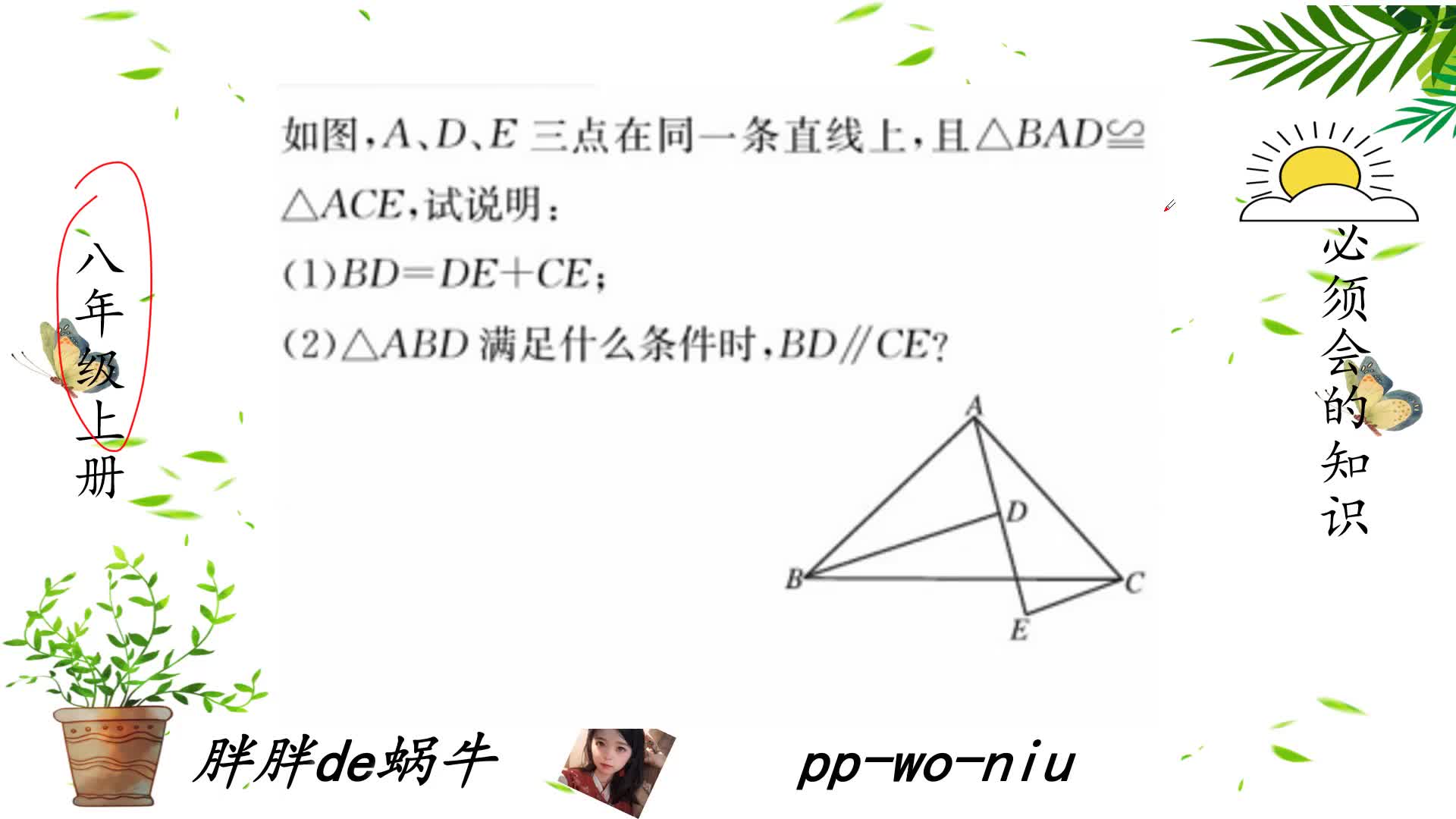 八上数全等三角形2