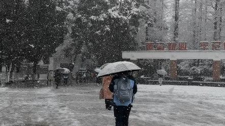 江西下雪了哔哩哔哩bilibili