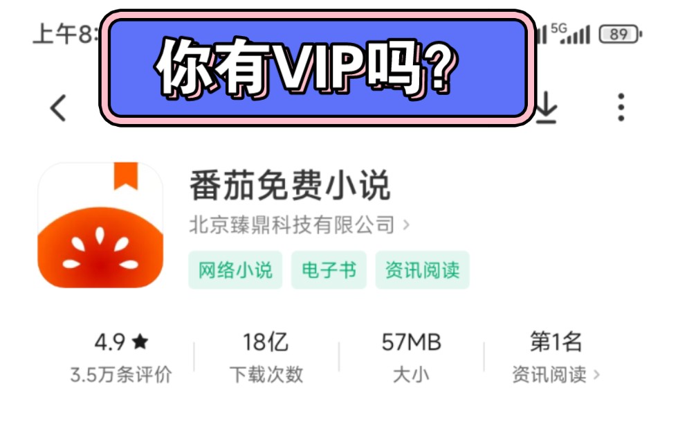 番茄免费小说,免费VIP哔哩哔哩bilibili