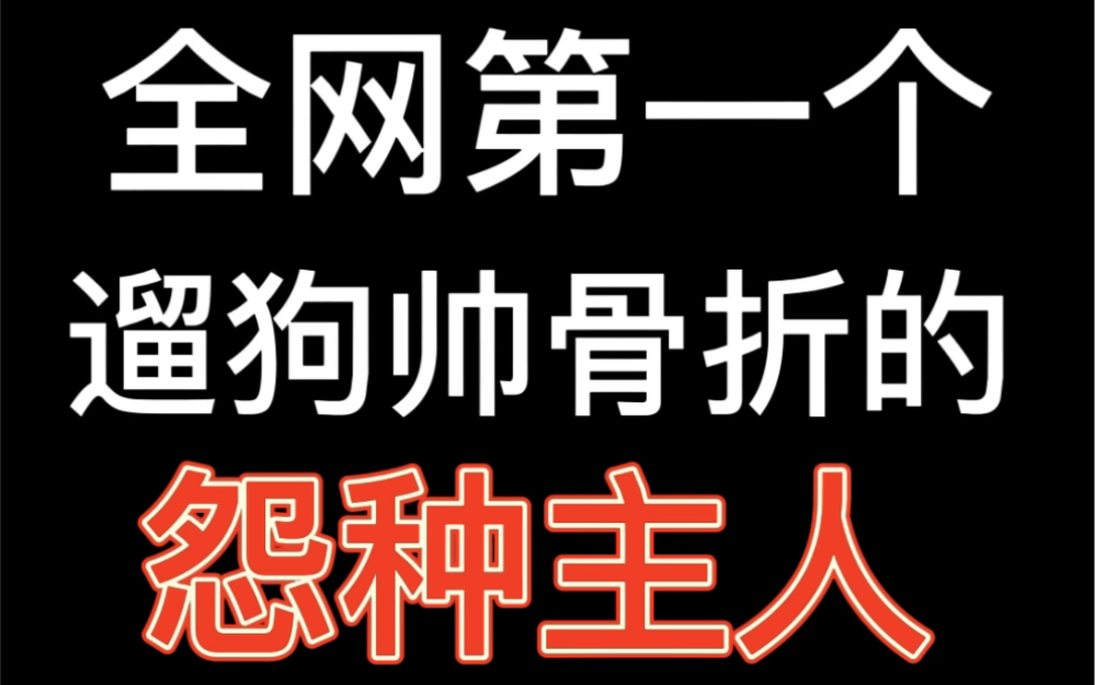 [图]边牧劝退指南 | 养边牧废主人