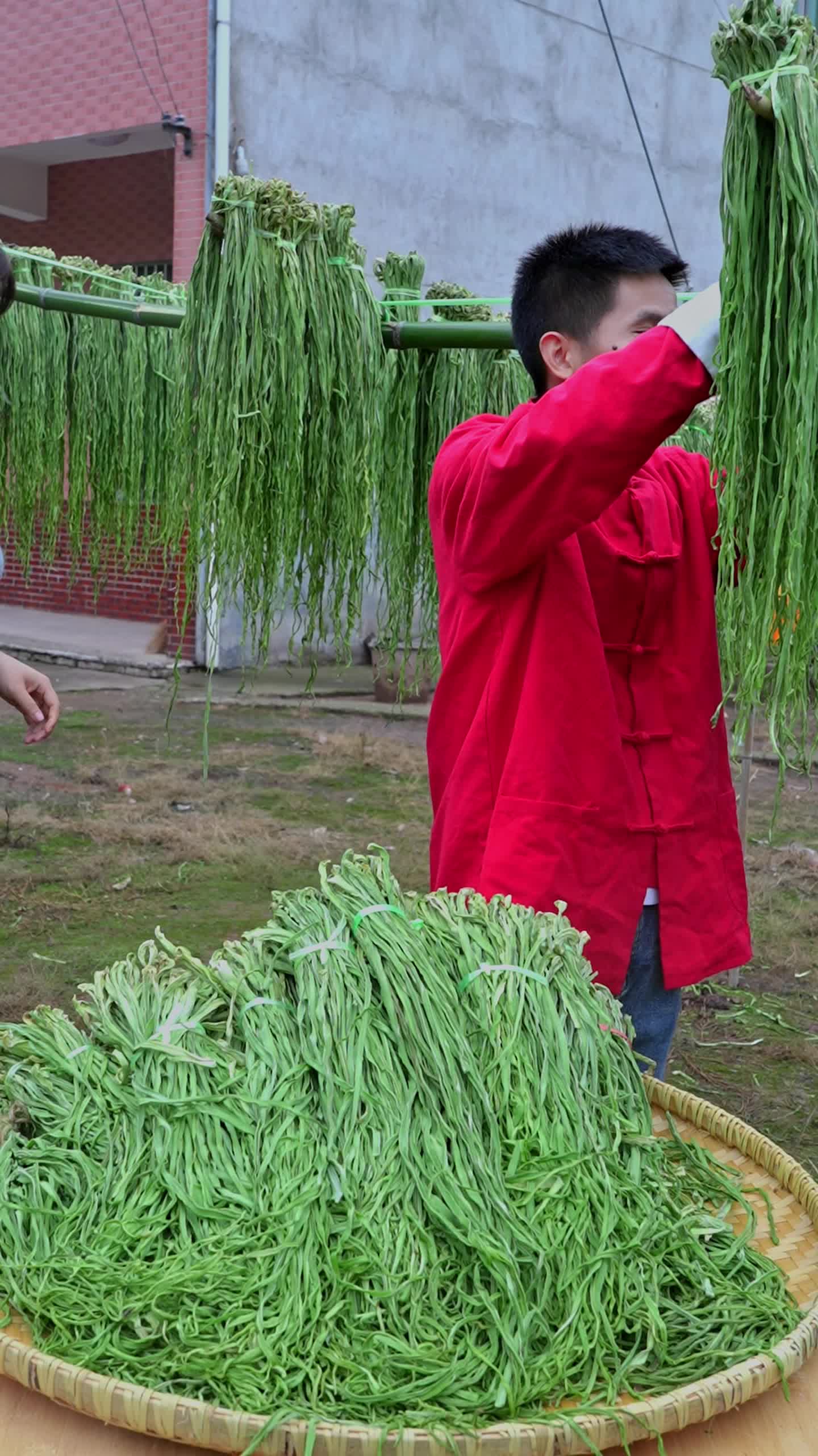 今年的新贡菜,纯手工制作的,嘎嘣嘎嘣脆哦