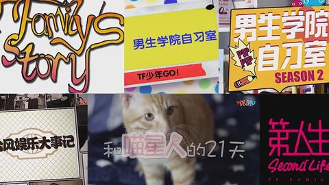 Tf家族历代短剧混剪 サヨナラの意味 哔哩哔哩