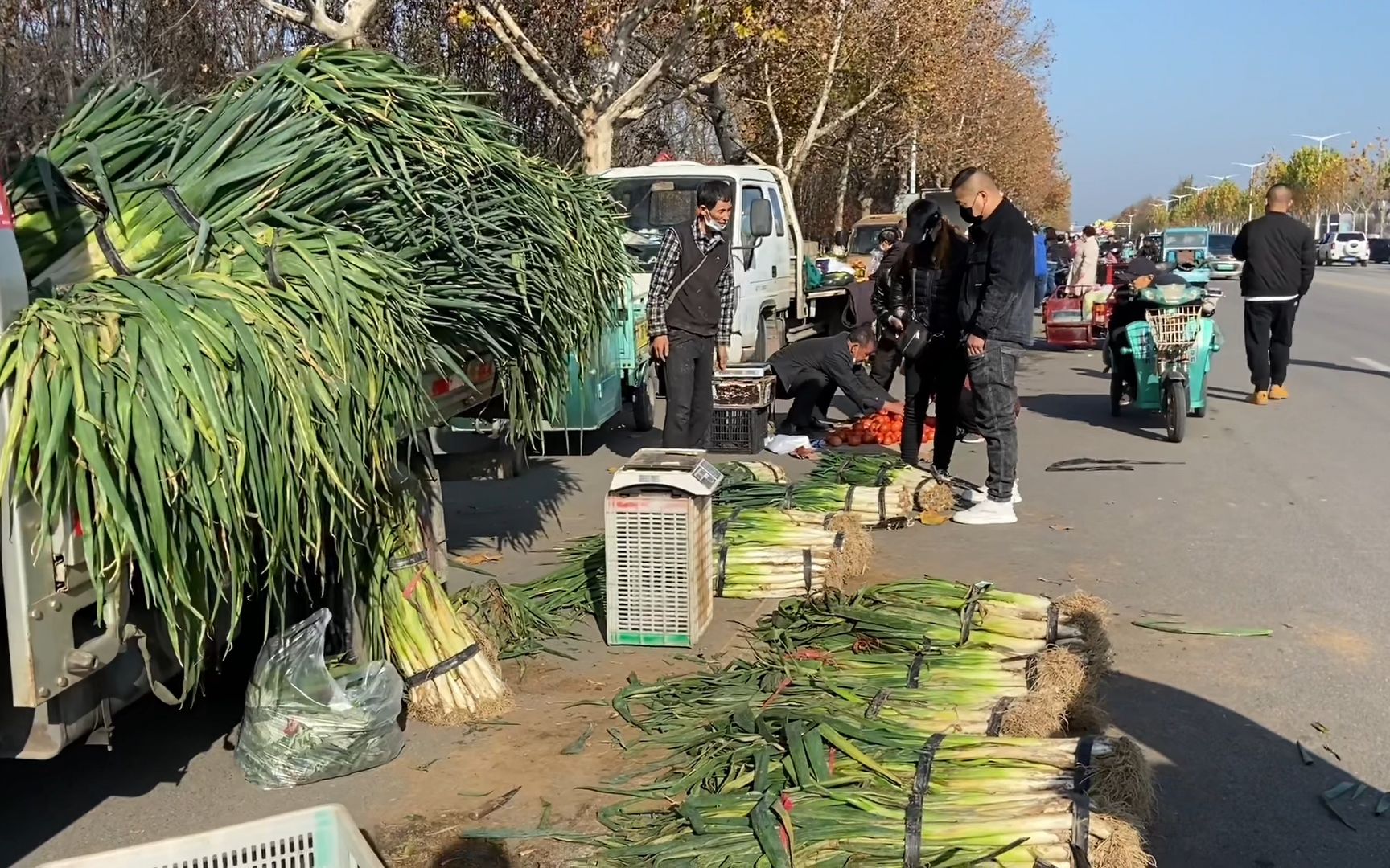 潍坊前杭埠大集,口罩影响市民忙着囤菜,白菜涨价,其他蔬菜平稳哔哩哔哩bilibili