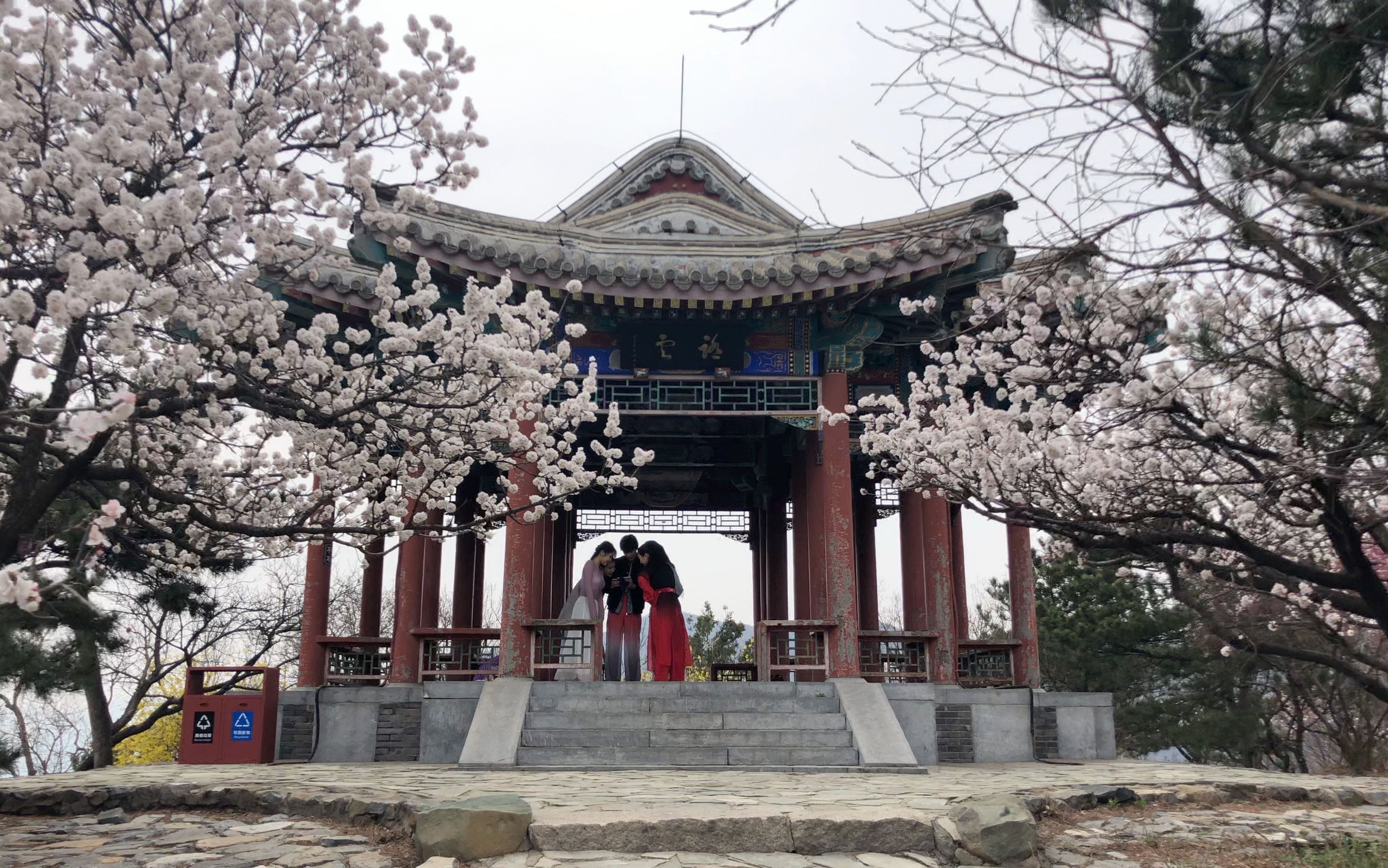 北京香山公园春季出游爬山赏花步道美景也美打卡香山下