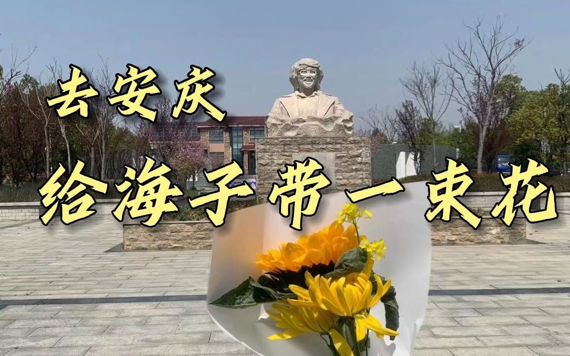 [图]我来到海子的故乡，却发现......