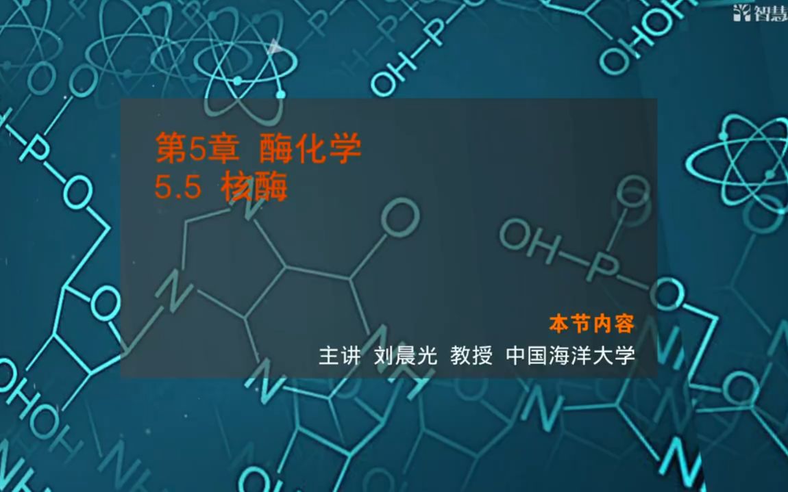 【中国海洋大学 生物化学】2.5核酶哔哩哔哩bilibili