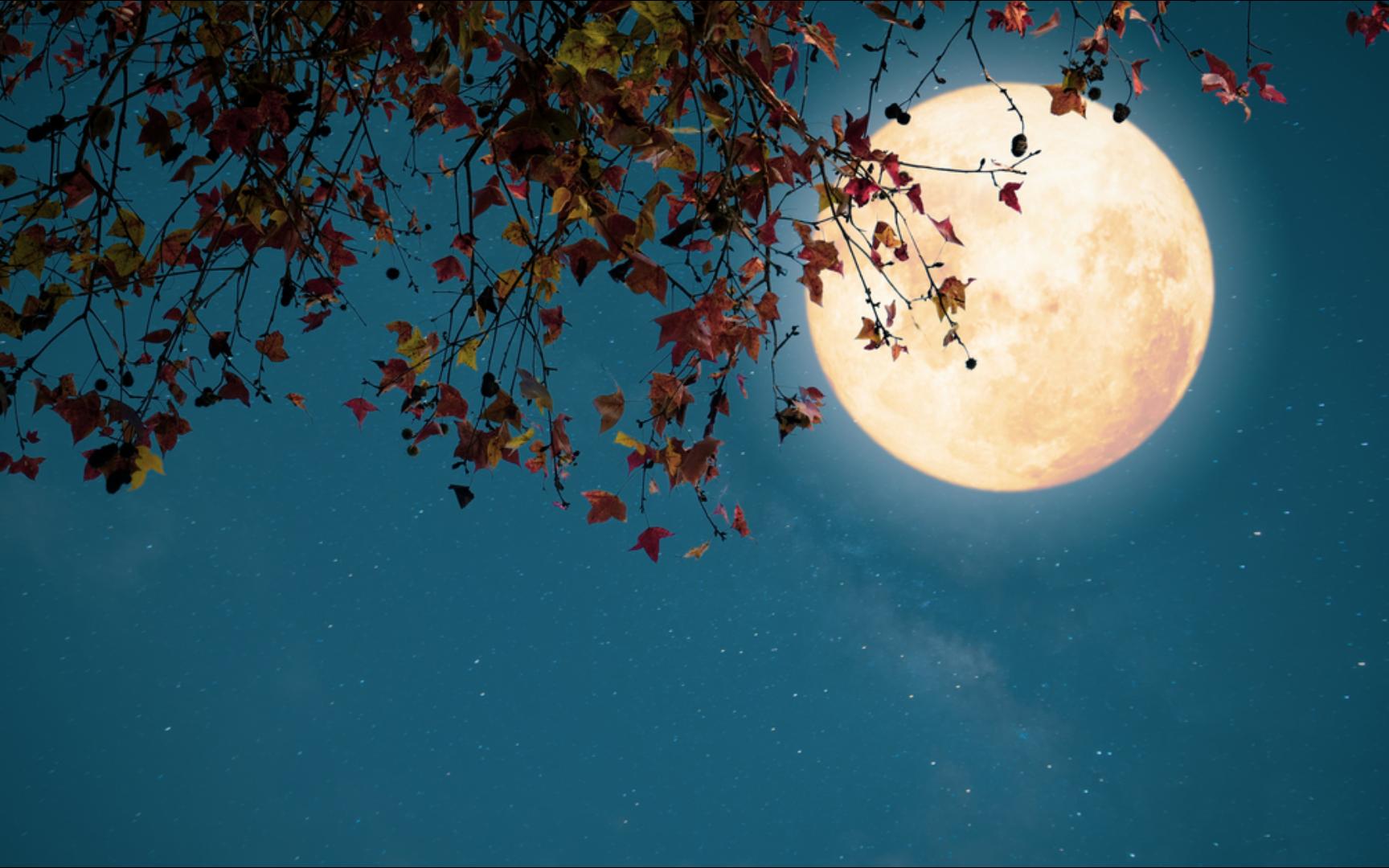 江水年年生,江月夜夜明.| 你是否像我一样,喜欢仰望月亮