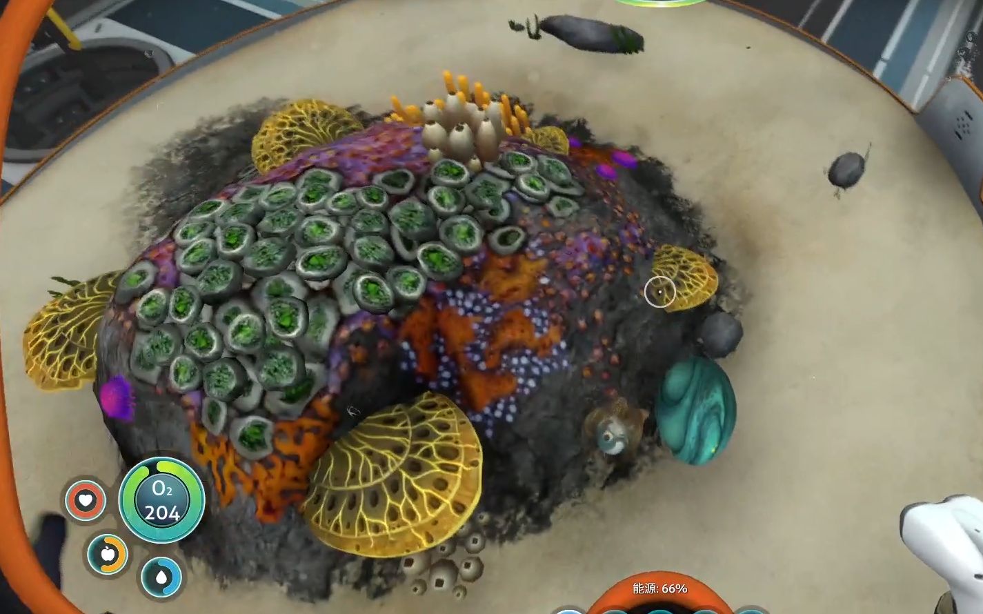 粽儿深海迷航有大鱼缸啦抱抱鱼可以孵化啦