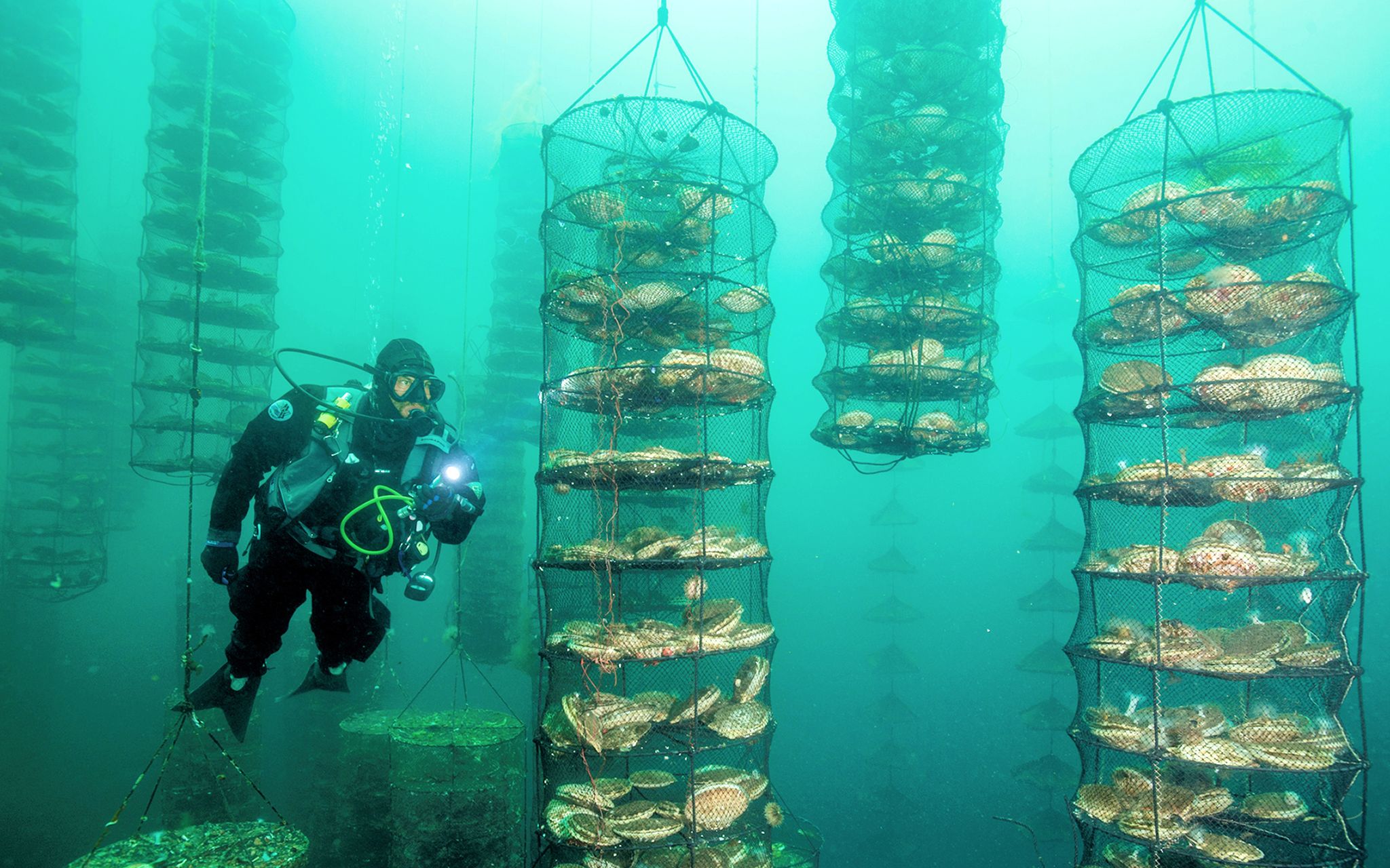 【科技狐】我要让所有人知道,这个价值4.