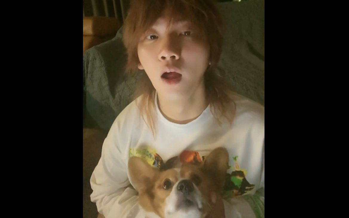 大狗doggie叨叨训小狗东东