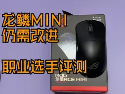 Descargar video: 【职业选手评外设】ROG龙鳞ACE MINI 感觉差点意思！