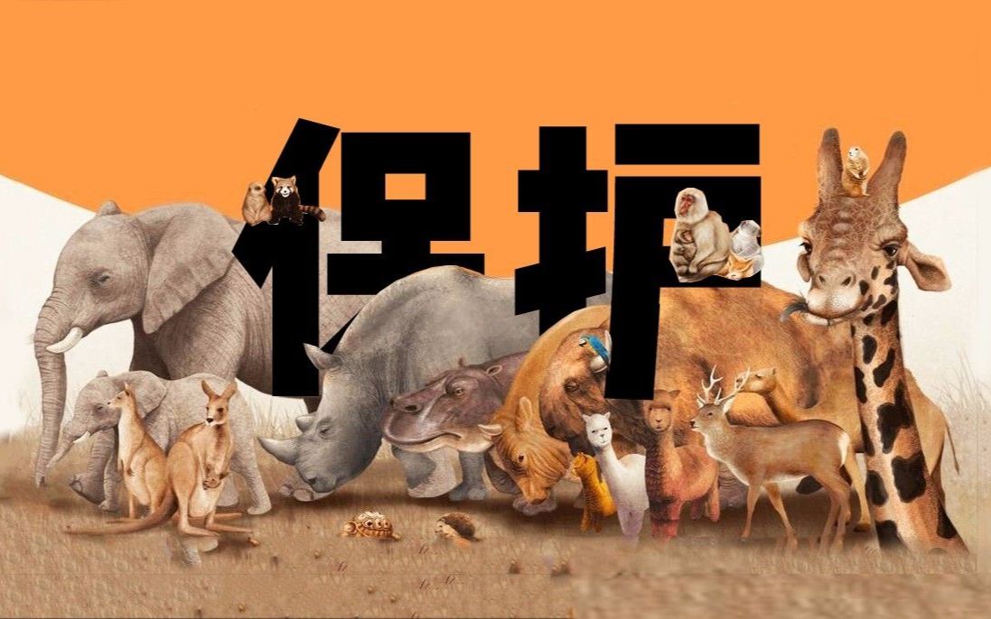 protectwildanimals宣传片