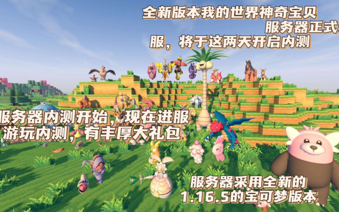 三、营销策略应用