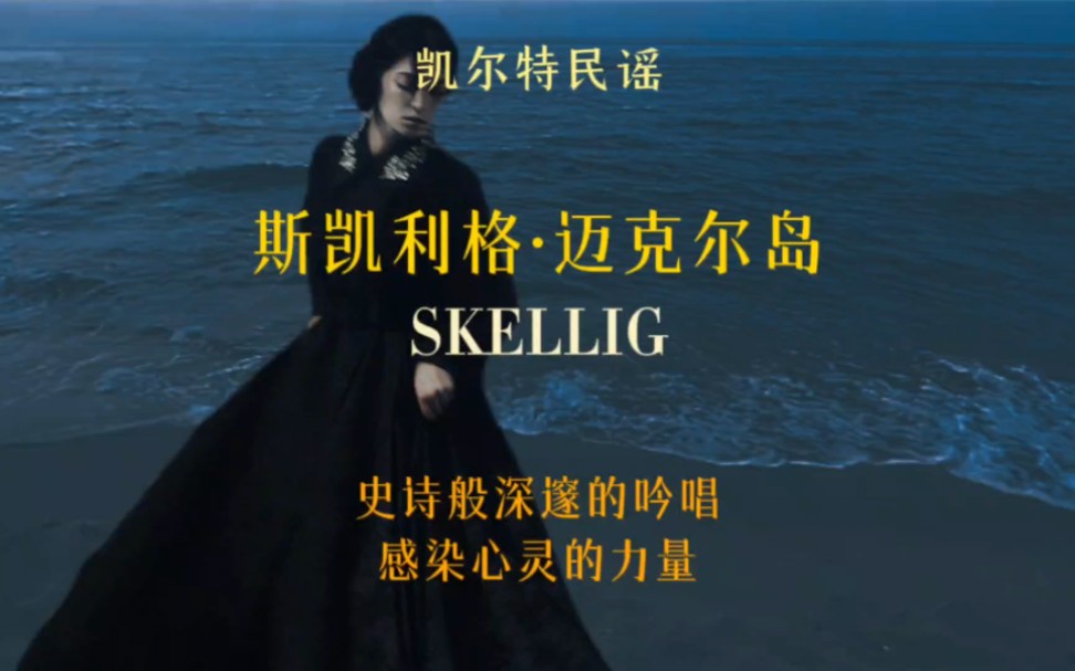 [图]遥远的悲伤 凄婉的吟唱～史诗般的凯尔特民谣《Skellig》