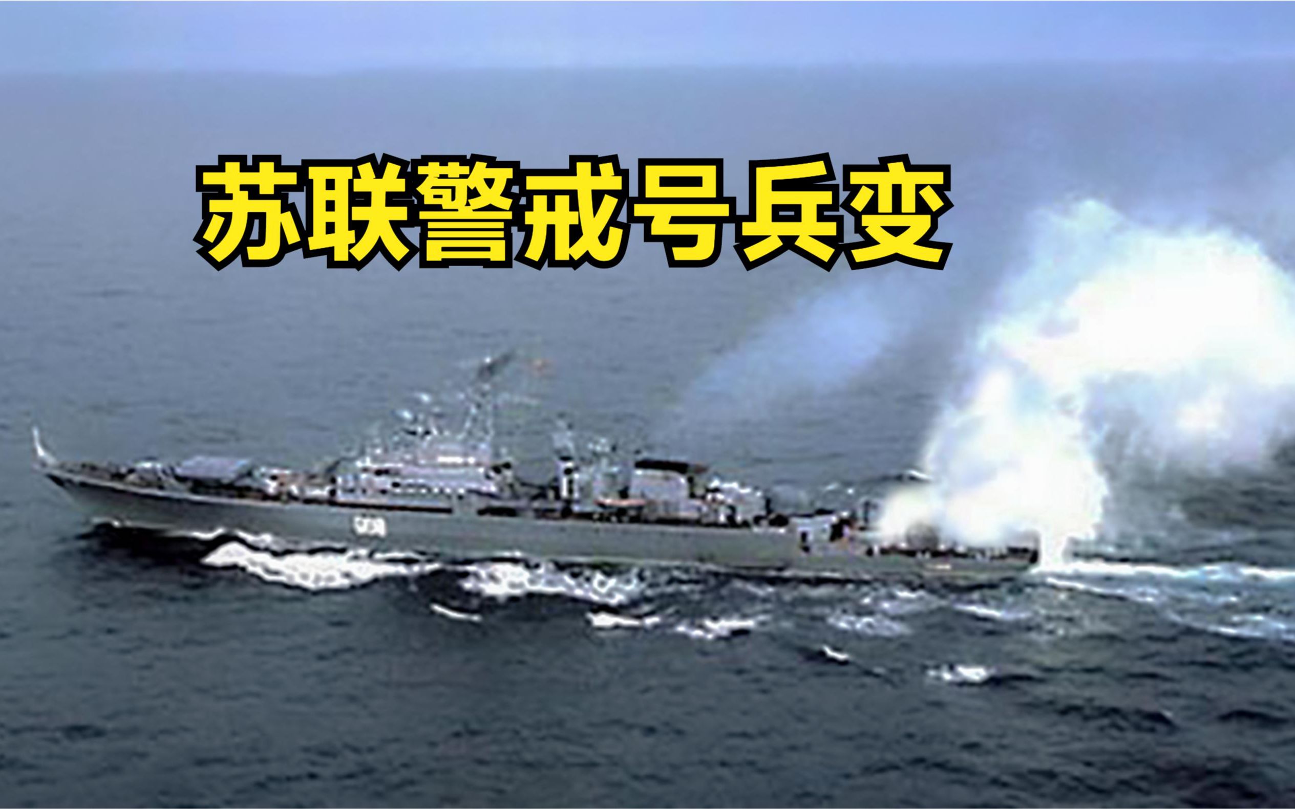 1975年警戒号兵变苏联出动空军拦截结果如何