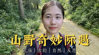 Download Video: 女生独自进野山会遇到什么呢？