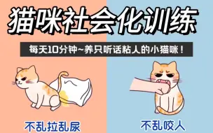 Download Video: 猫咪社会化训练！每天10分钟~养只听话粘人的小猫咪！