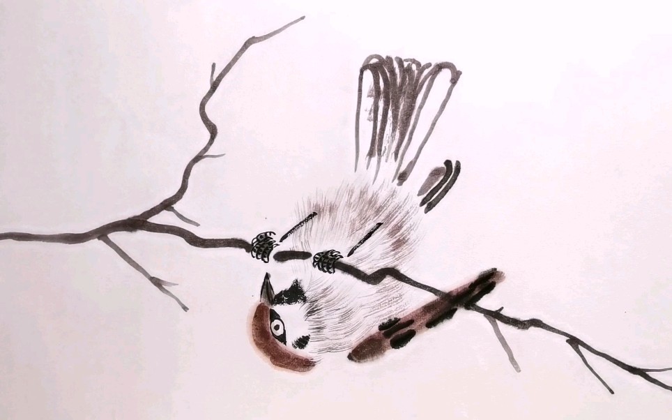国画水墨鸟禽图,画一只顽皮的鸟儿
