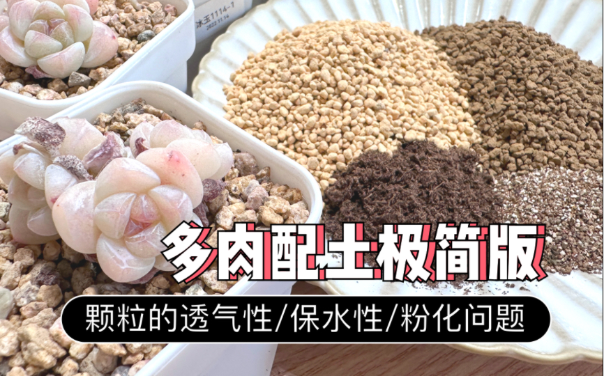 多肉配土极简版|颗粒的透气性/保水性/粉化问题