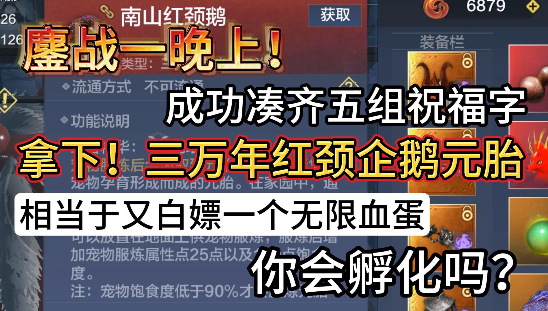 鏖战一晚上!成功凑齐五组祝福字 拿下三万年红颈企鹅元胎 相当于又白嫖一个无限血蛋 你会选择孵化吗?