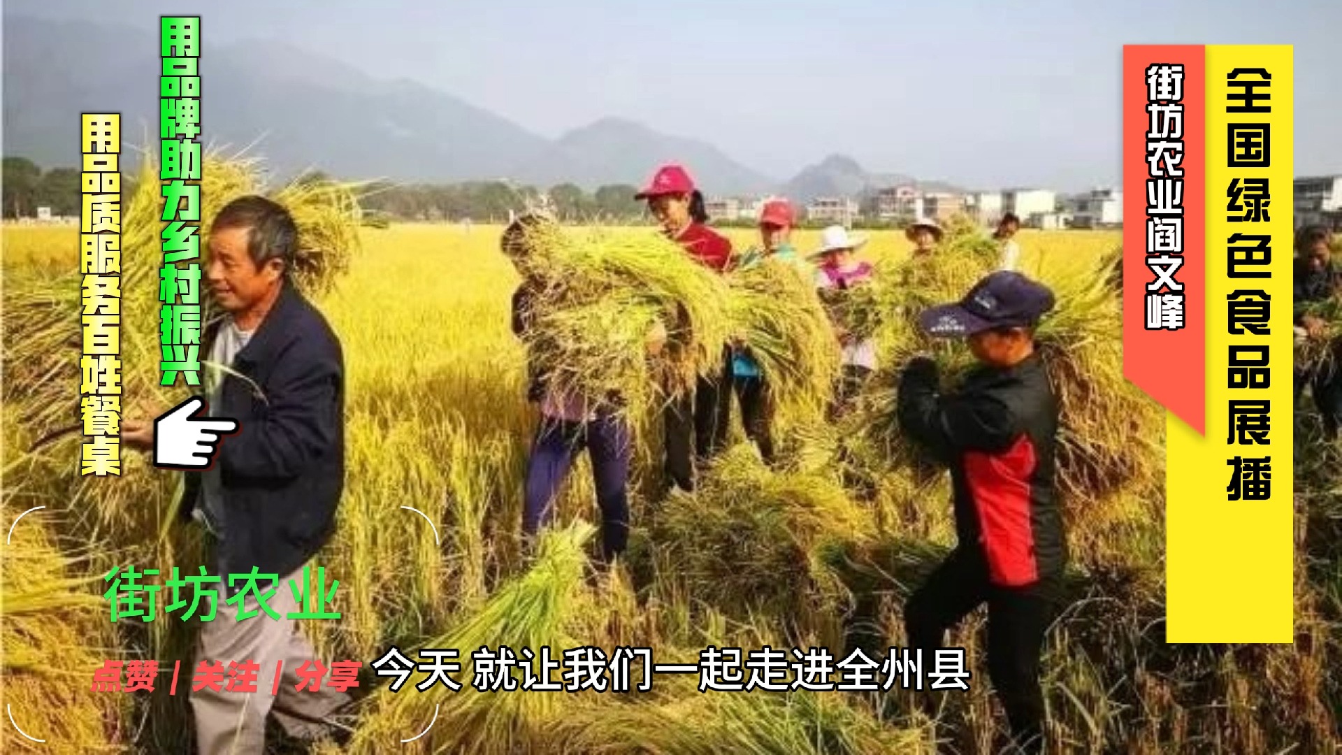 全州县绿食源粮蔬种植专业合作社的稻谷是绿色食品哔哩哔哩bilibili