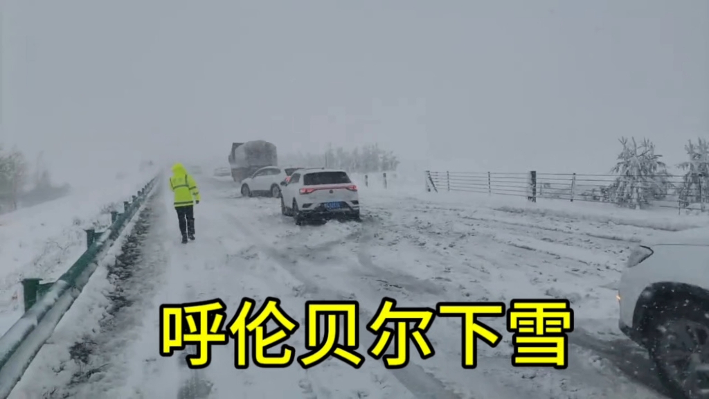 [图]呼伦贝尔下雪了，当地居民表示：冬天都没这么大