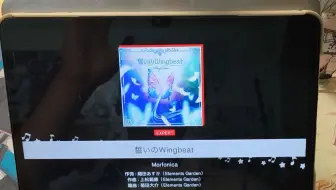 【板拇手元 红wb ap-2】誓いのWingbeat Expert