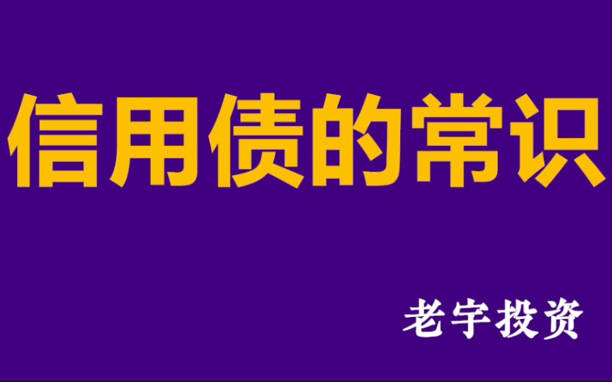 关于债券的风险和收益哔哩哔哩bilibili