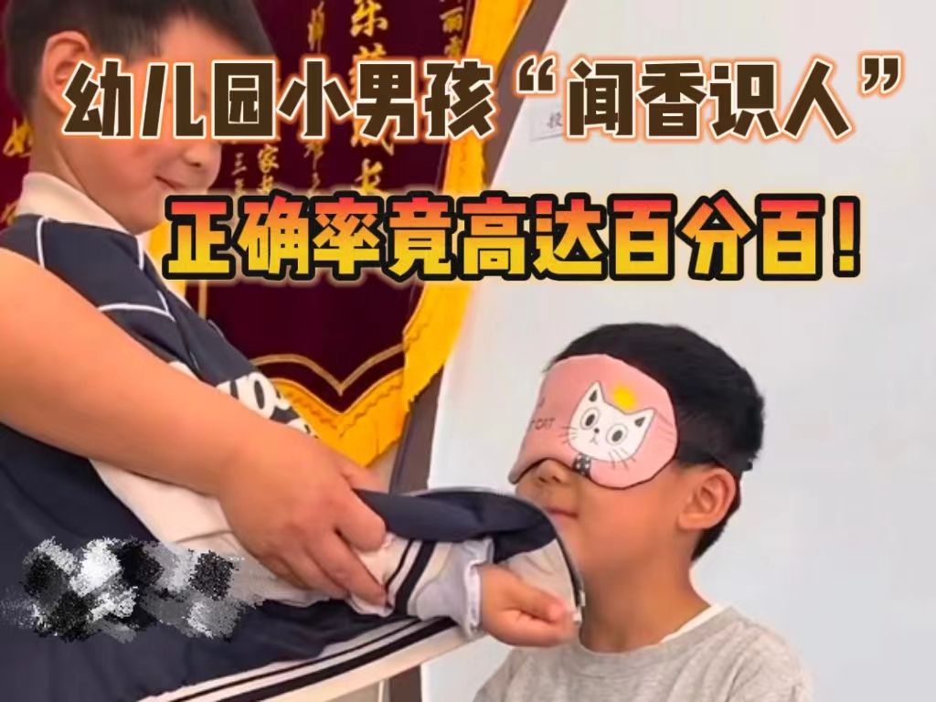 幼儿园小男孩“闻味识人” 正确率高达百分之百 “解锁人类幼崽特异功能”哔哩哔哩bilibili